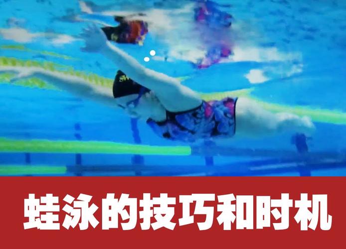 乒乓球和蛙泳