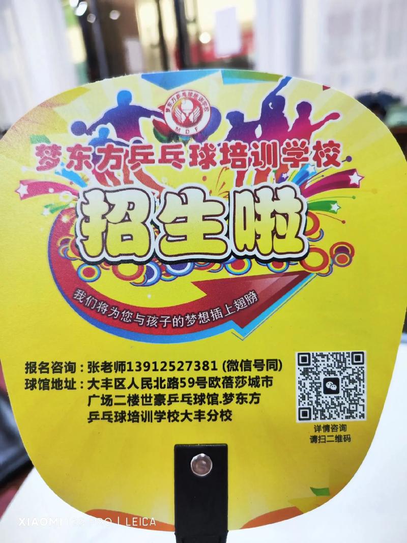 普通学校乒乓球奖励政策解析