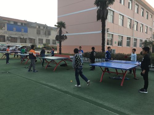 参加学校乒乓球活动的建议