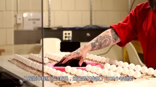 如何用乒乓球做老鼠头