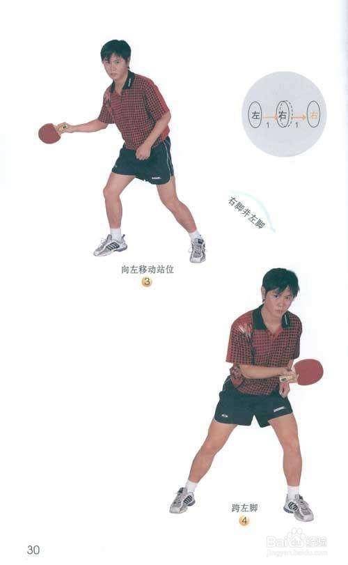 乒乓球初学指教