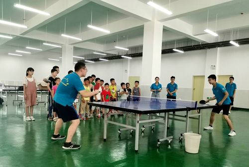 乒乓球蛇形球练习指导