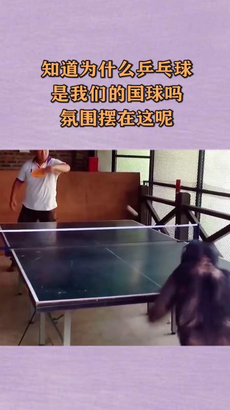 国外学生打乒乓球搞笑视频解析