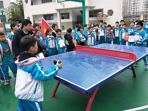 乒乓球县运动会筹备与参与指南