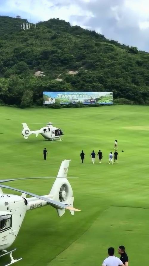 高尔夫球把飞机打下来？