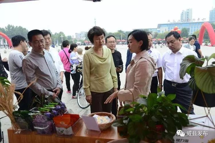 威县乒乓球教练名单