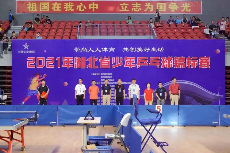 湖北省青少年乒乓球发展现状与建议