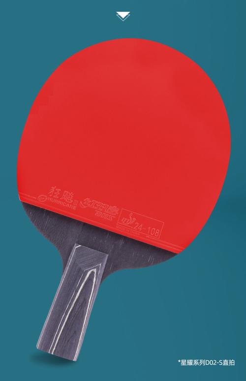 乒乓球横拍技术书籍推荐