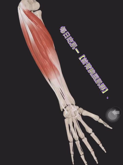 高尔夫球肘使得手指疼