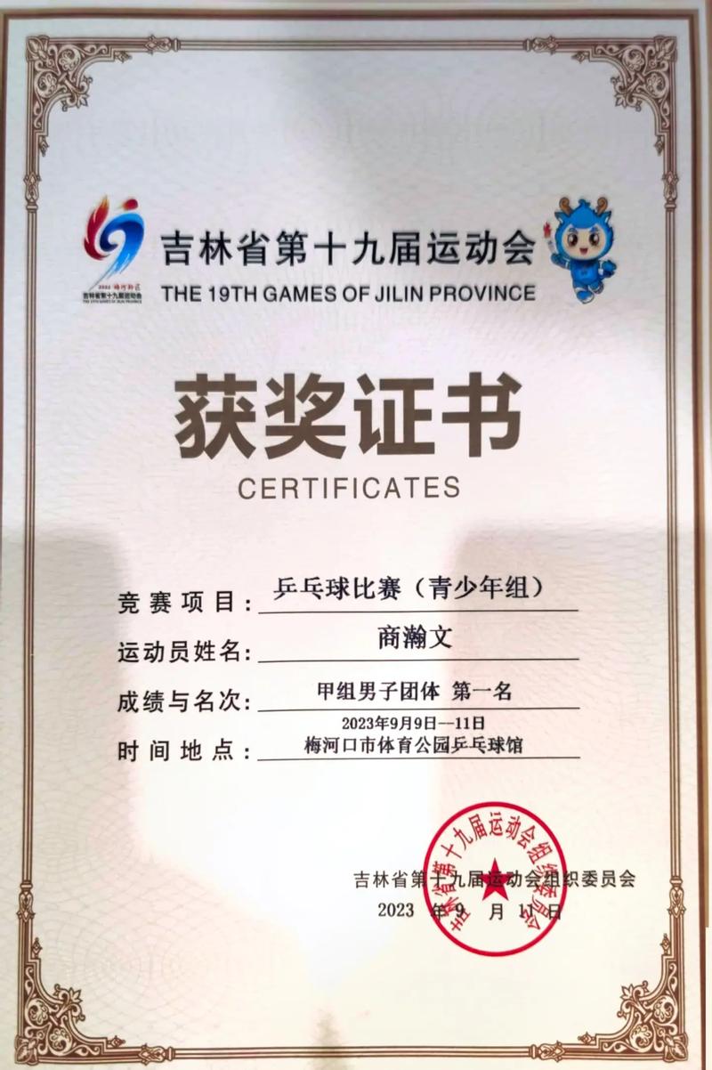 乒乓球在体育运动等级中的位置
