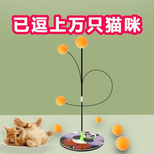 玩具球猫咪乒乓球