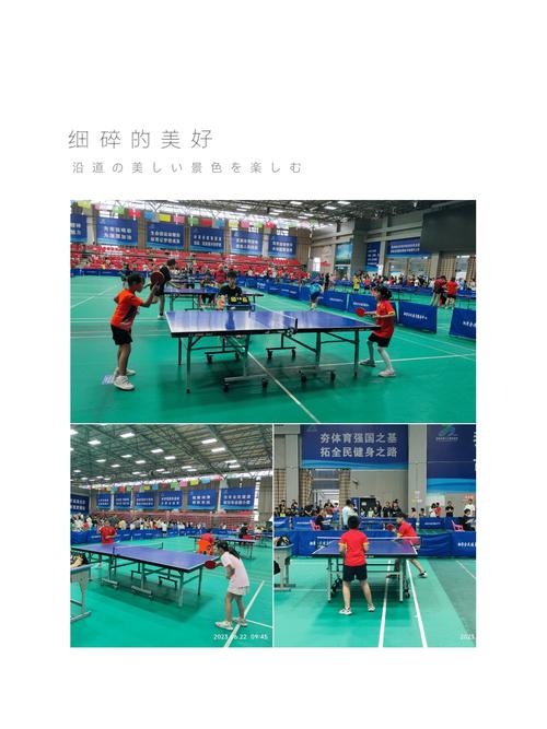 乒乓球运动在幼儿教育中的意义和指导建议