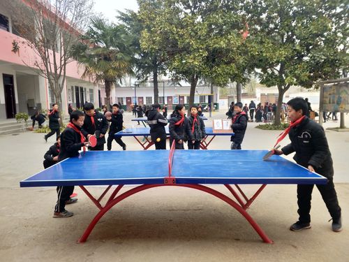 小学乒乓球比赛活动策划与指导