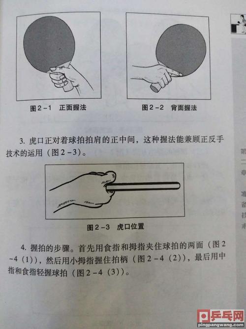 乒乓球横排问题解析与建议