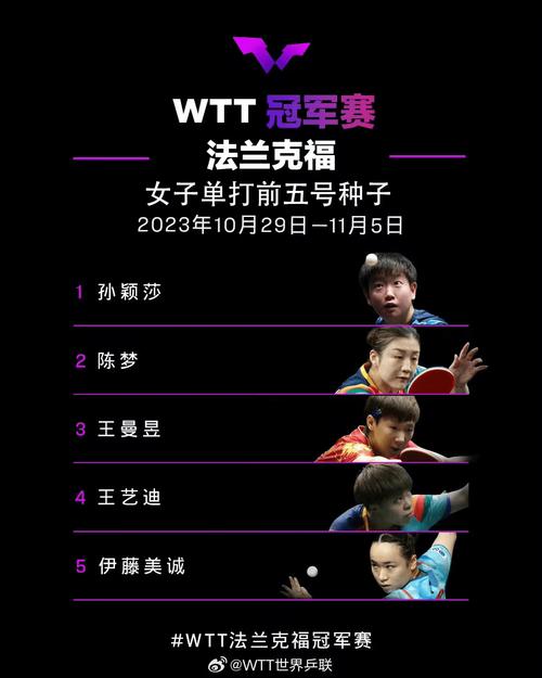 巴黎乒乓球决赛门票购买指南