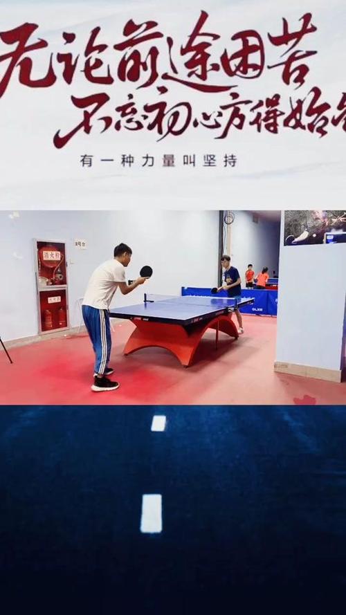 朱雀乒乓球底板介绍
