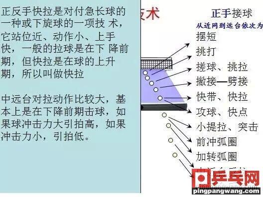 乒乓球打野球技术要点