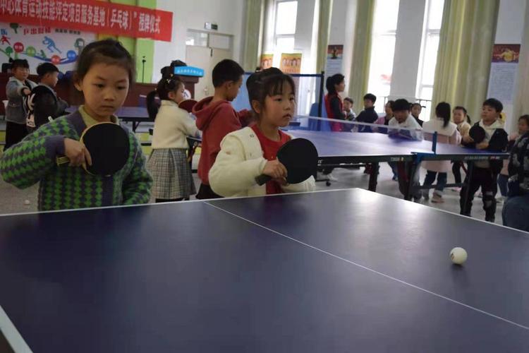 乒乓球幼儿运动指导