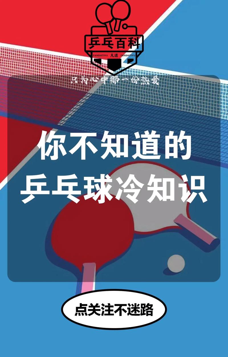 乒乓球内行知识讲解