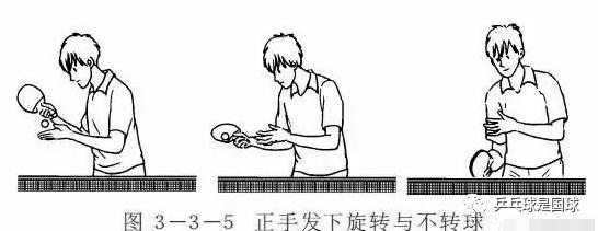 乒乓球动作要素