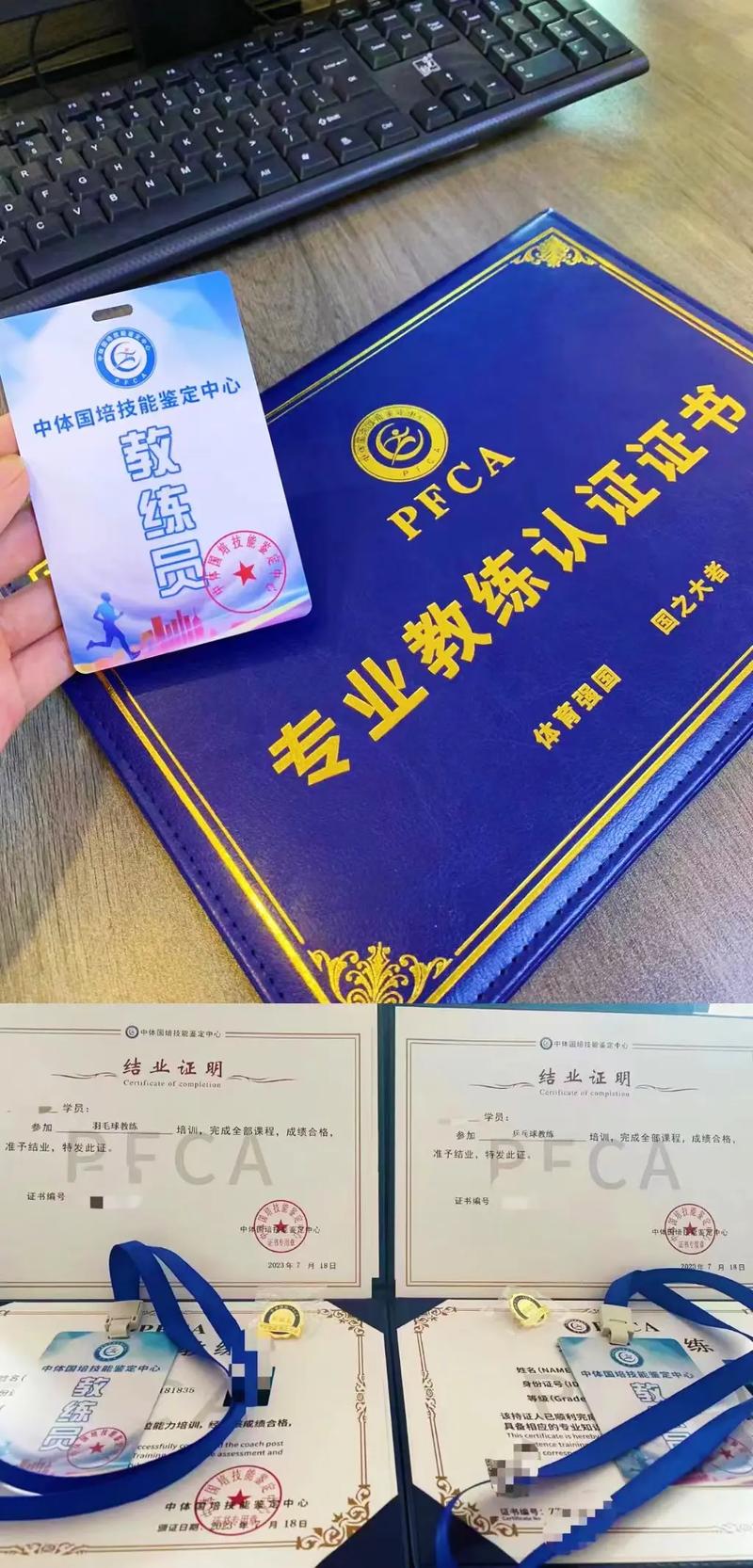 专业乒乓球花费分析与建议