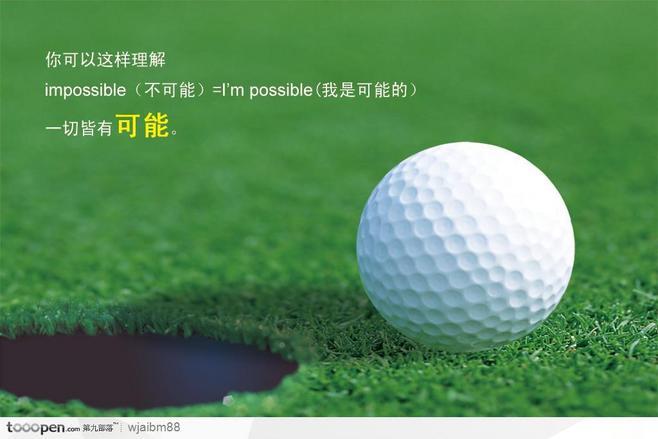 1.击球技术与专业技能