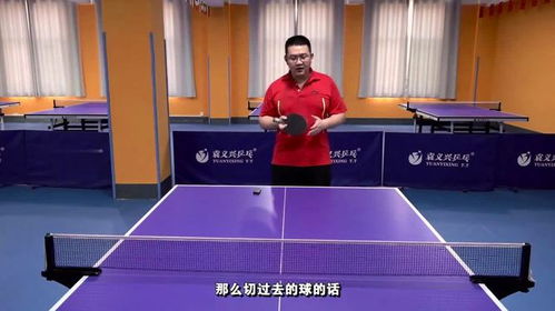 濮阳乒乓球学校好进吗