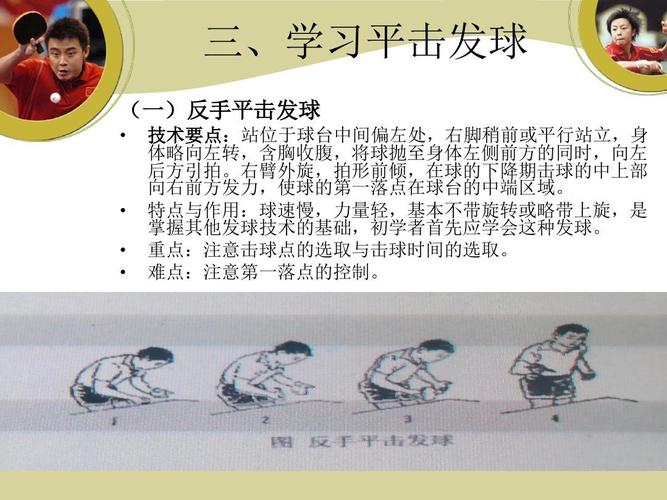 乒乓球职业选手图片