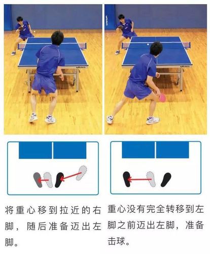 乒乓球分几种组合
