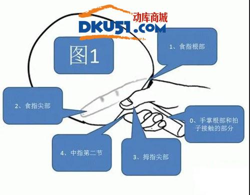 乒乓球怎么才能掌握刀拍动作