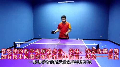 乒乓球课程小结
