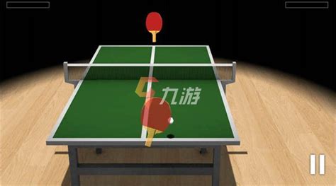 乒乓球游戏摸鱼视频