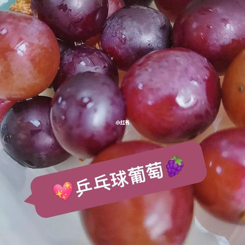 红色乒乓球水果是什么