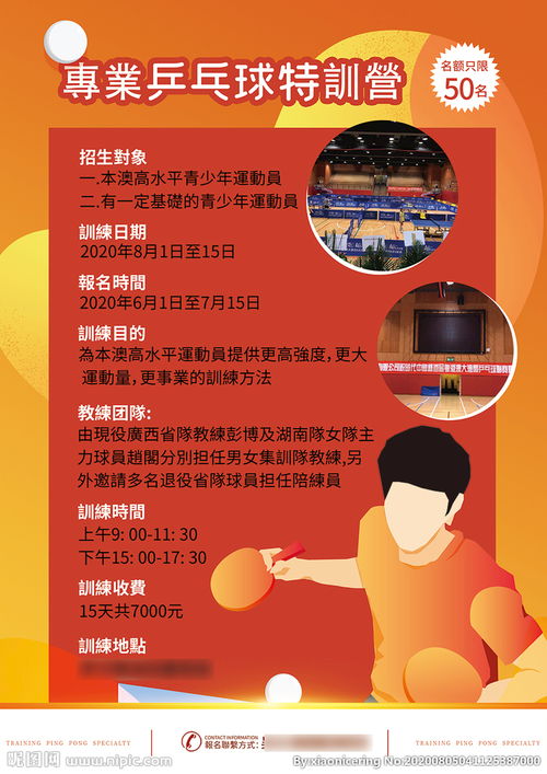乒乓球宣传视频素材