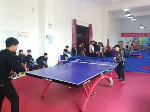 小学生乒乓球比赛宣传语简短
