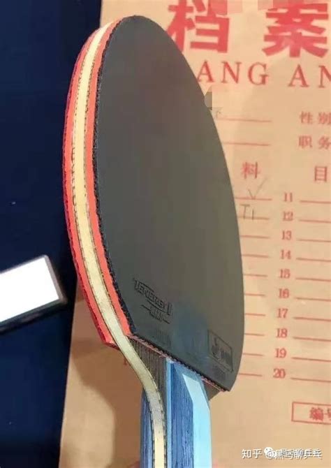 汕头市乒乓球培训班