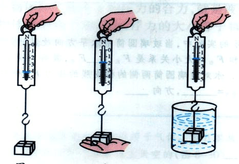 乒乓球浮力方向实验