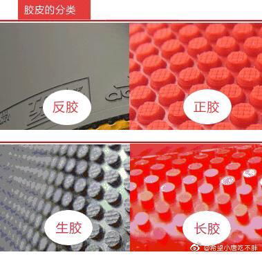 乒乓球胶皮图片介绍