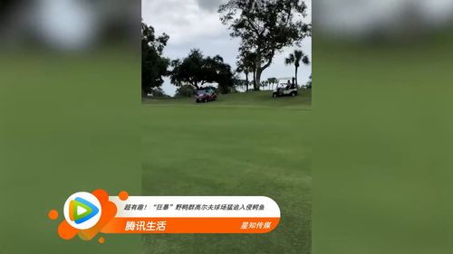超级高尔夫