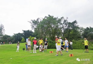 高尔夫球会沉入水底吗