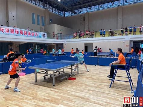 国际乒乓球比赛游戏
