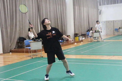 现有篮球排球乒乓球足球
