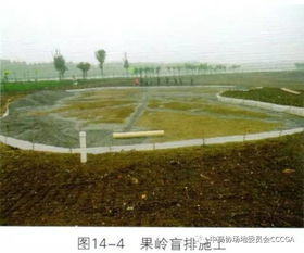 高尔夫球能放进体内吗