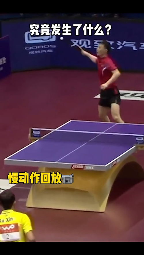 乐乐在打乒乓球