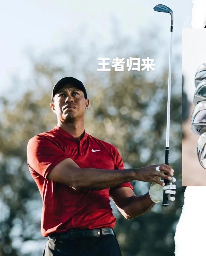 高尔夫球是哪个明星