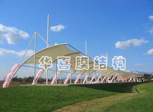 高尔夫球场画图
