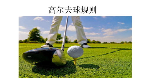高尔夫球协会成立