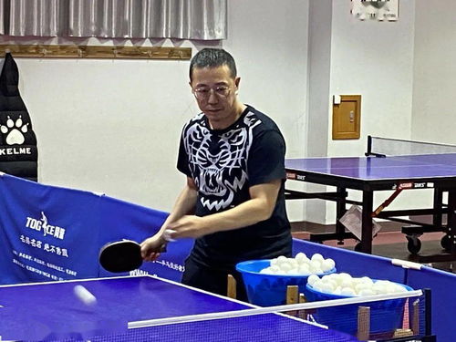 乒乓球执教教练
