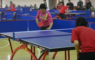 西华师范大学体育学类