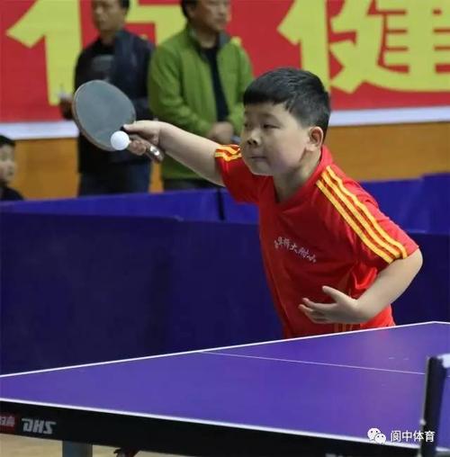 阆中乒乓球培训班在哪